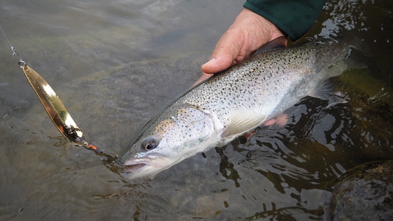 northanglers 記事一覧 | つり人オンライン